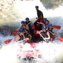 FG Mannheim 29 Bartmann Horst